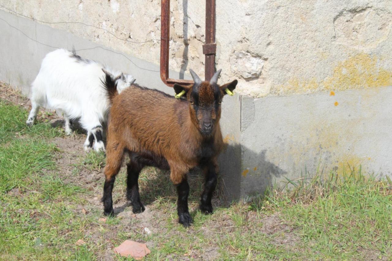 Ferme Des Poulardieres Villa Crouy-sur-Cosson Buitenkant foto