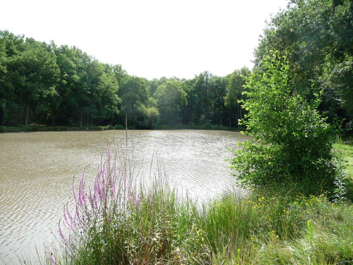 Ferme Des Poulardieres Villa Crouy-sur-Cosson Buitenkant foto